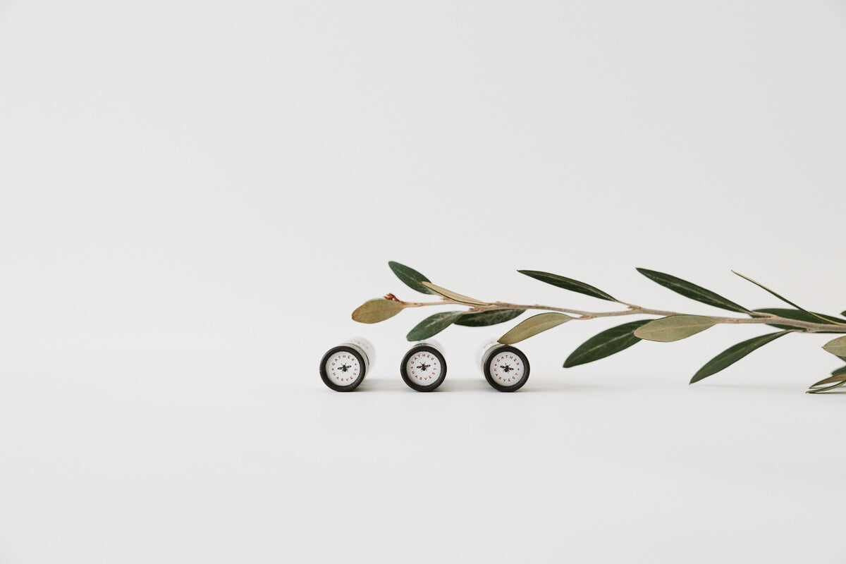 Natural Lip Balm | Handmade in Australia | Gather + Harvest | Buy online